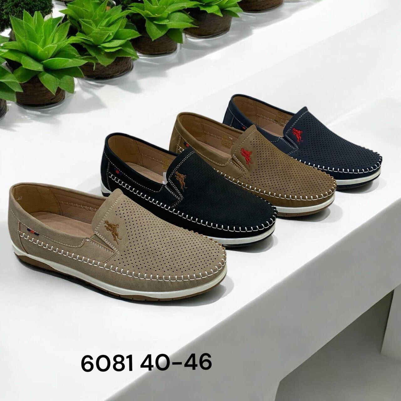 Wholesaler ALTAMODA SHOES - 6081