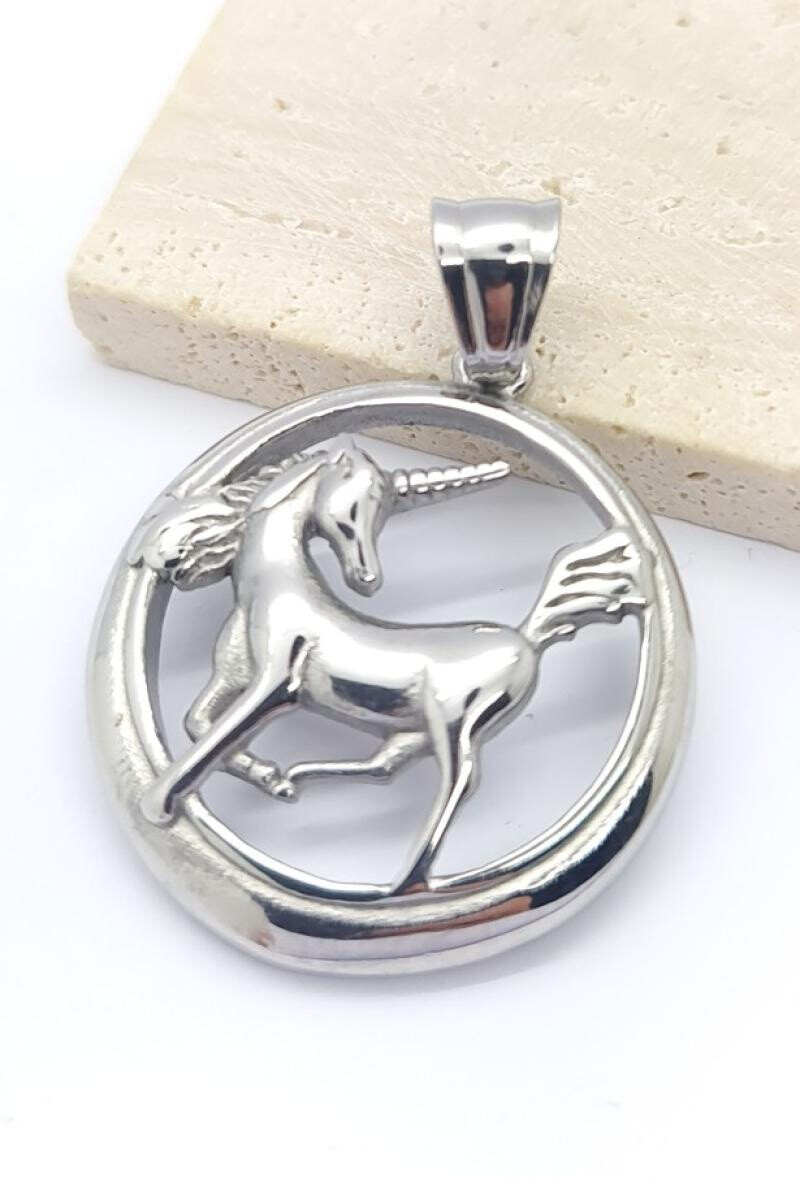 Wholesaler Bijoussimo - Clear steel pendant in a circle