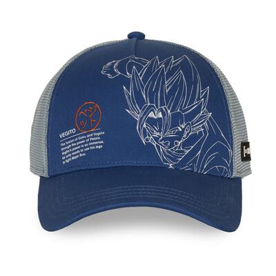 Wholesaler Capslab - Dragon Ball Z X Capslab Cap Wholesaler Capslab - Dragon Ball Z X Capslab Cap