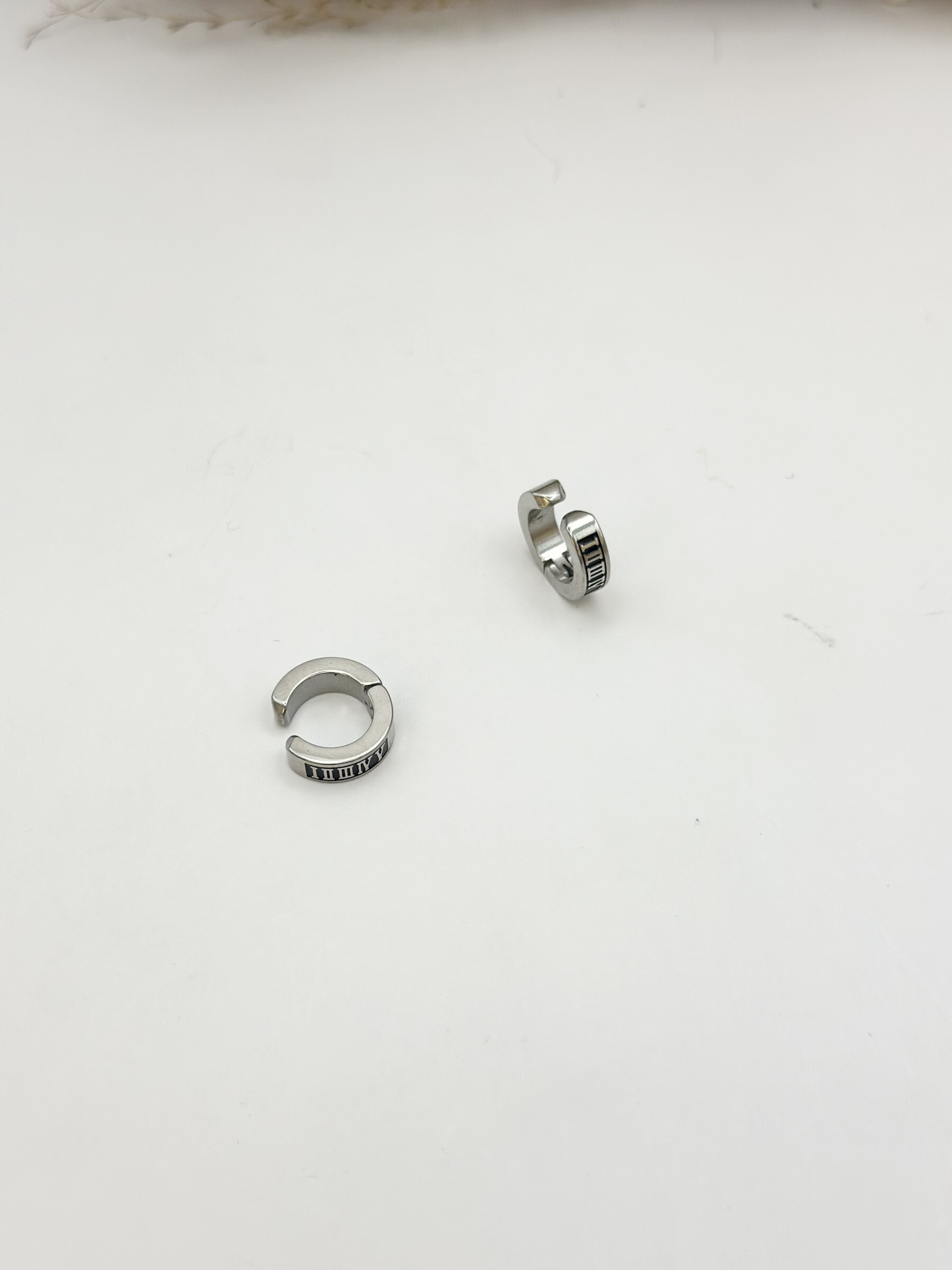 Wholesaler Ceramik - Stainless Steel Earrings with clip closure
