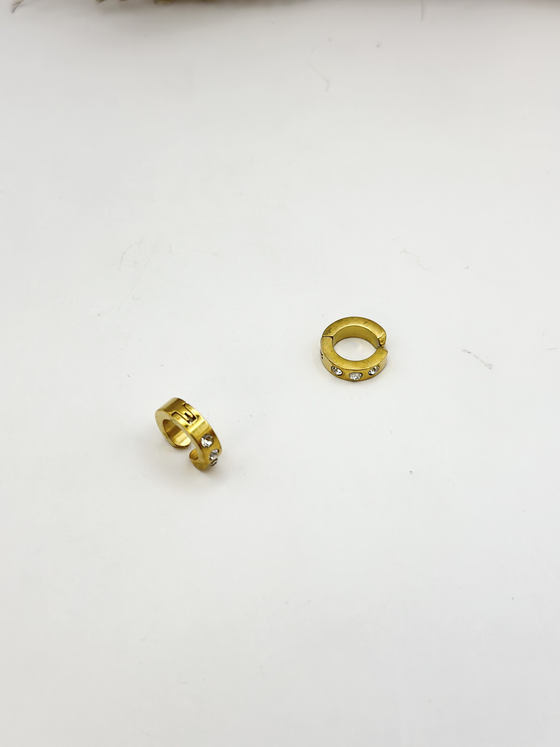 Wholesaler Ceramik - Stainless Steel Earrings with clip closure