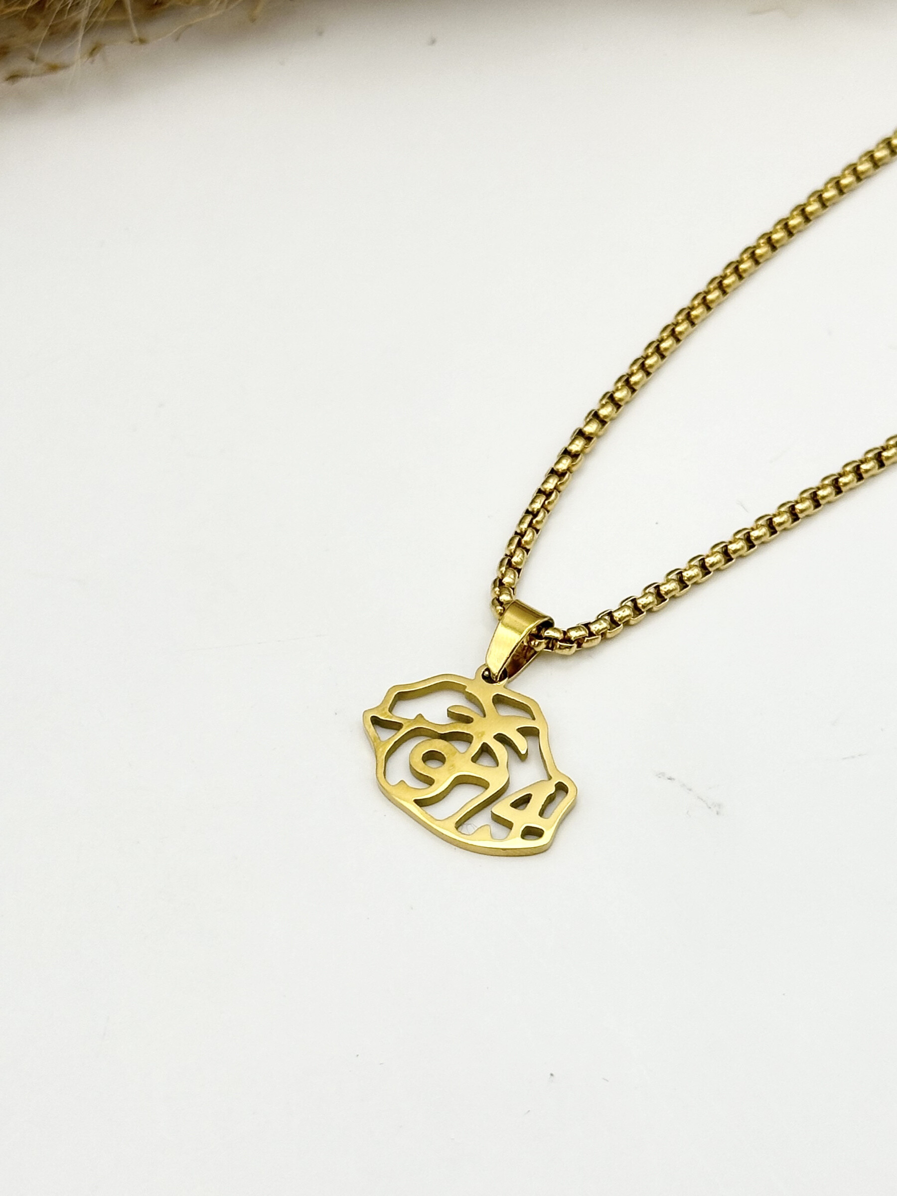Wholesaler Ceramik - Stainless steel pendant necklace with Albania map