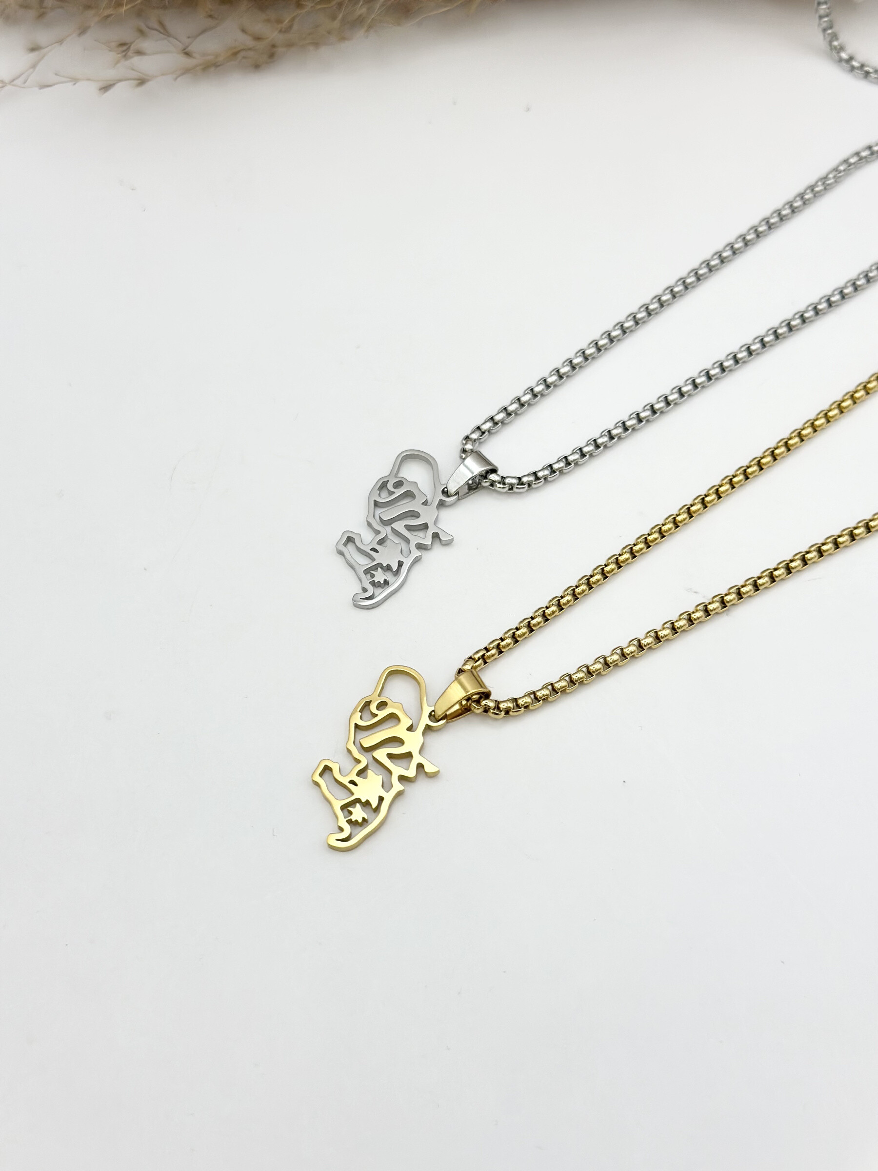 Wholesaler Ceramik - Stainless steel pendant necklace with Albania map