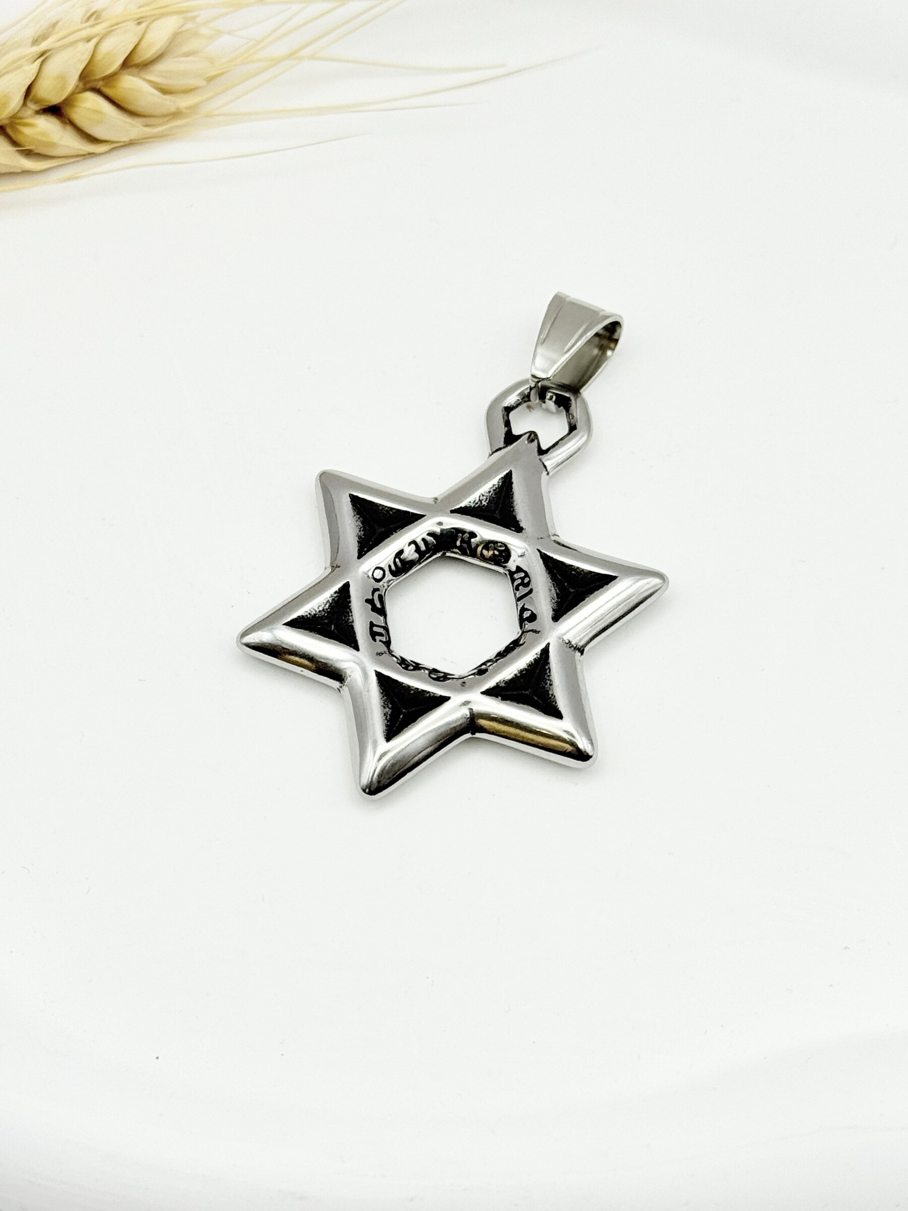 Wholesaler Ceramik - Stainless Steel Star of David Pendant
