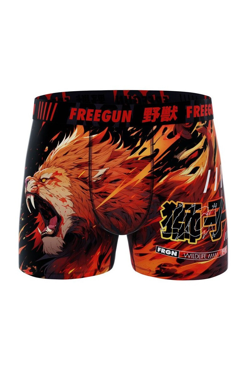 Wholesaler City Boy - Boxer Freegun