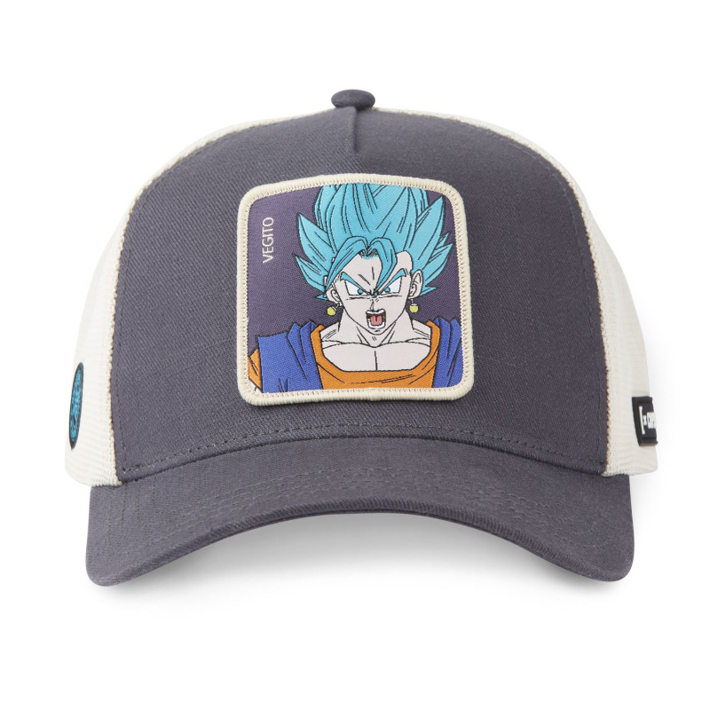 Mayorista City Boy - Gorra Dragon Ball Z de Capslab