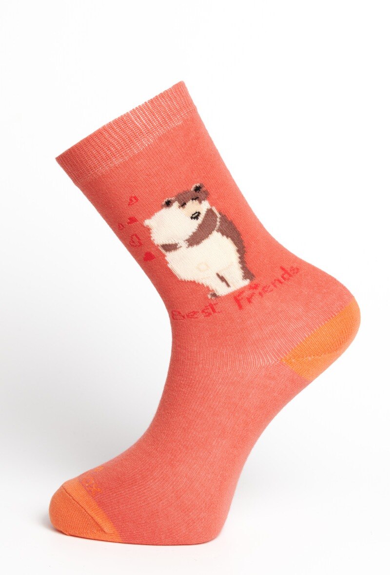 Wholesaler Fabsox - Best friends orange