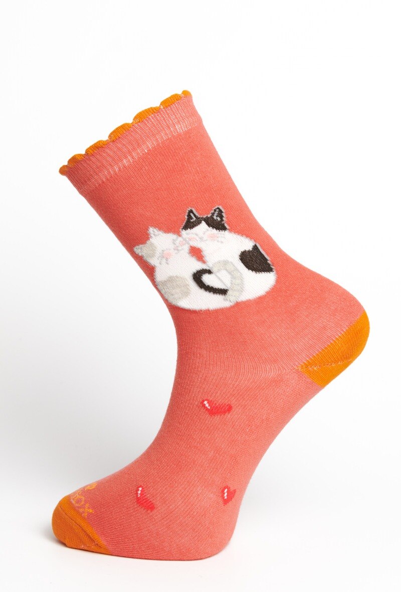 Wholesaler Fabsox - Cat love
