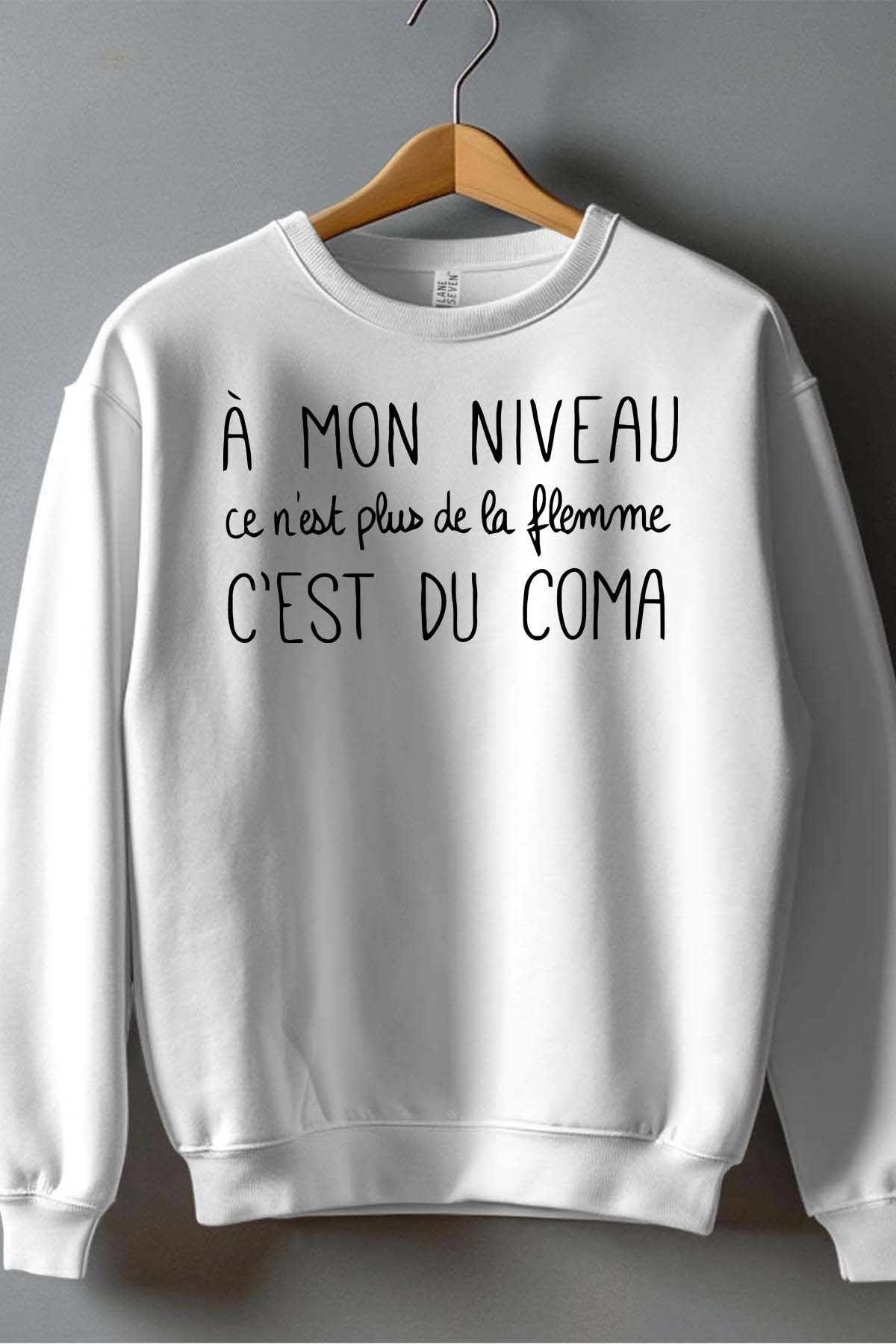 Grossiste I.A.L.D FRANCE - Flemme coma - Sweat Col Rond Homme