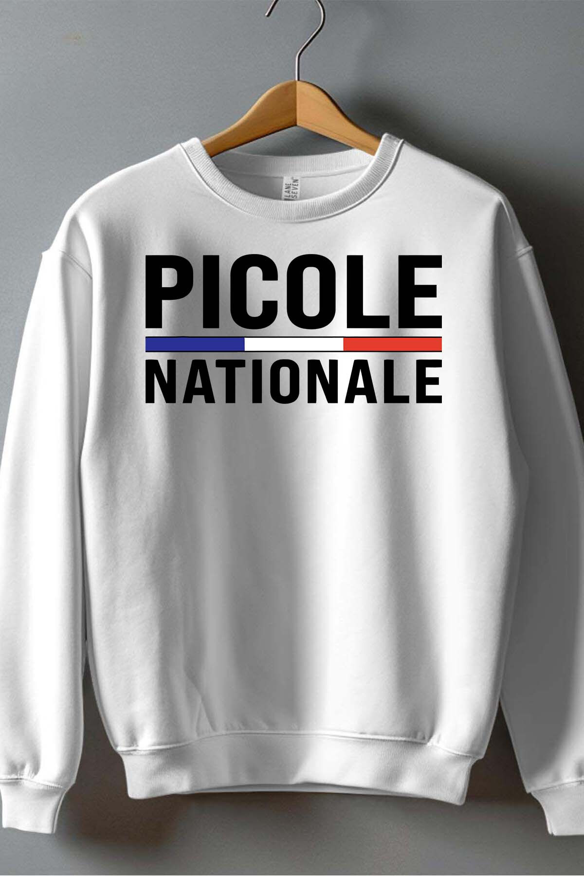 Grossista I.A.L.D FRANCE - felpa da uomo con scollo rotondo - nazionale picole