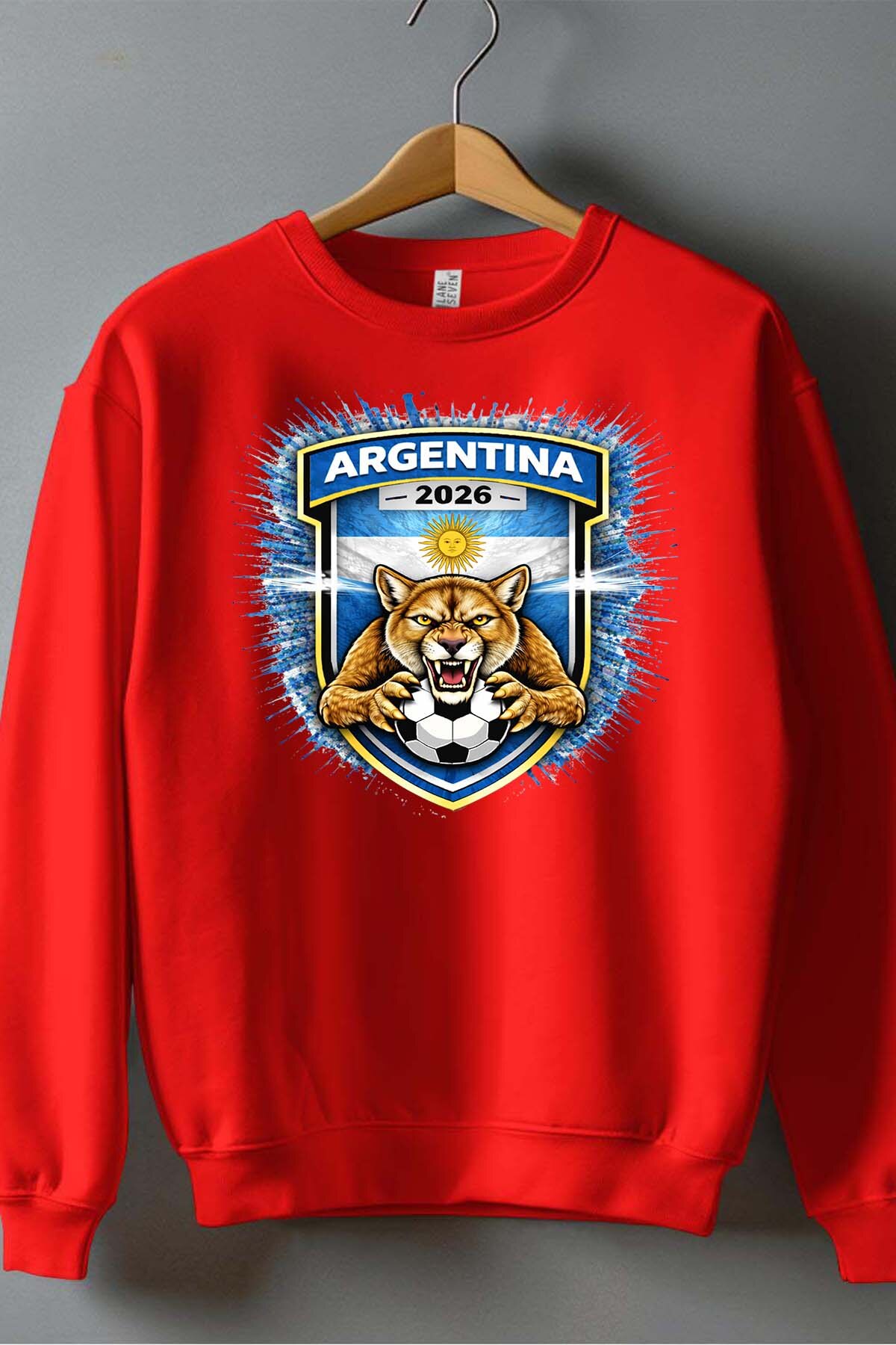 Grossista I.A.L.D FRANCE - Patch Argentina - Felpa girocollo uomo