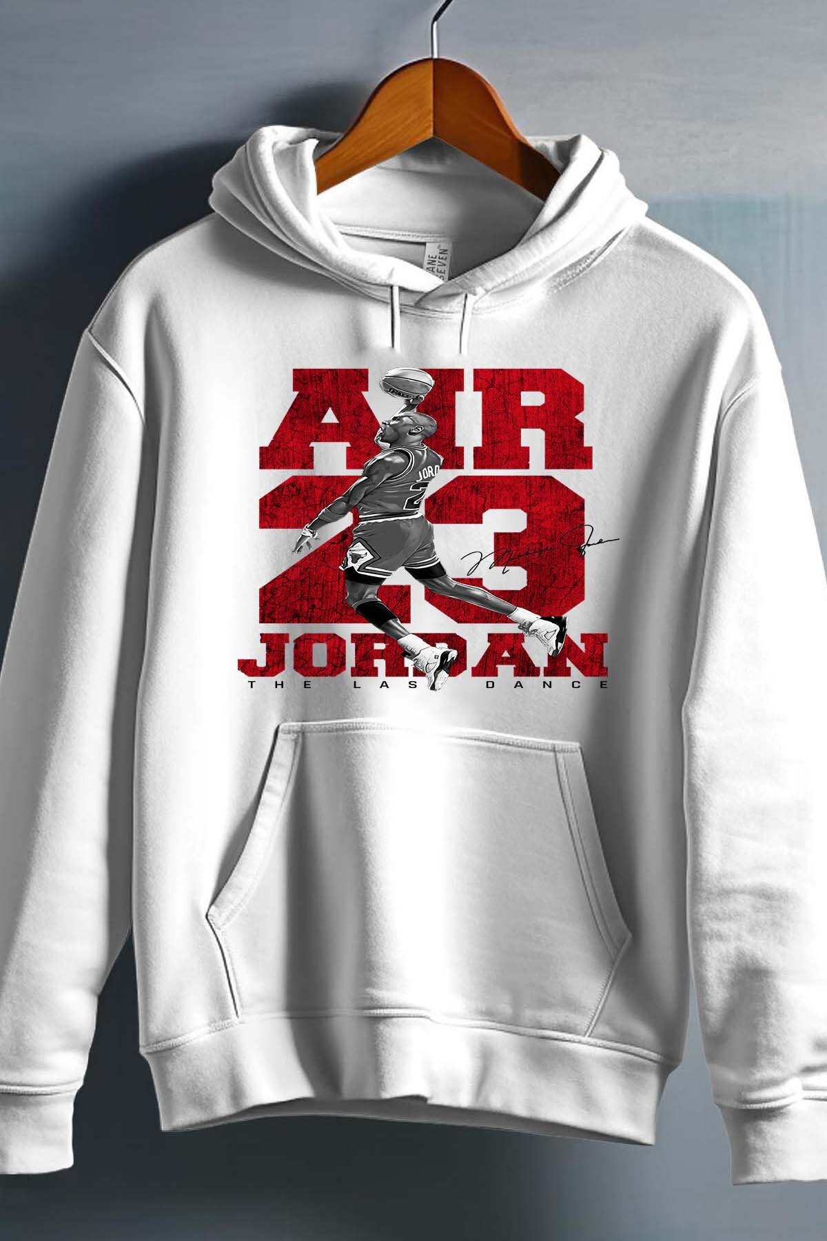 Grossiste I.A.L.D FRANCE - The last Flight - Sweat Capuche Homme
