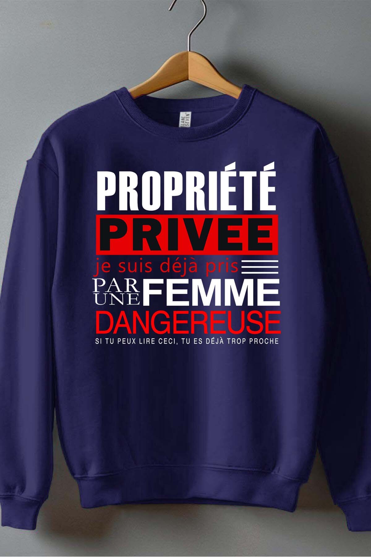 Mayorista I.A.L.D FRANCE - Propiedad privada - Sudadera de cuello redondo para hombre