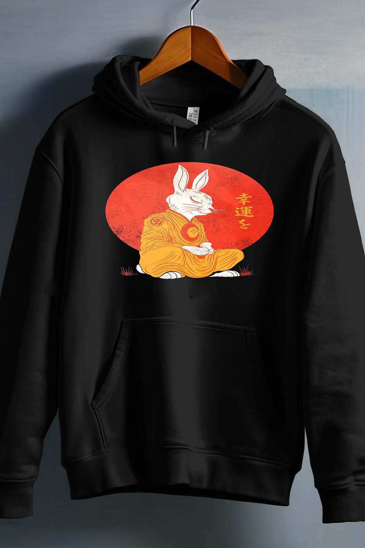 Grossiste I.A.L.D FRANCE - Meditation Rabbit - Sweat Capuche Homme