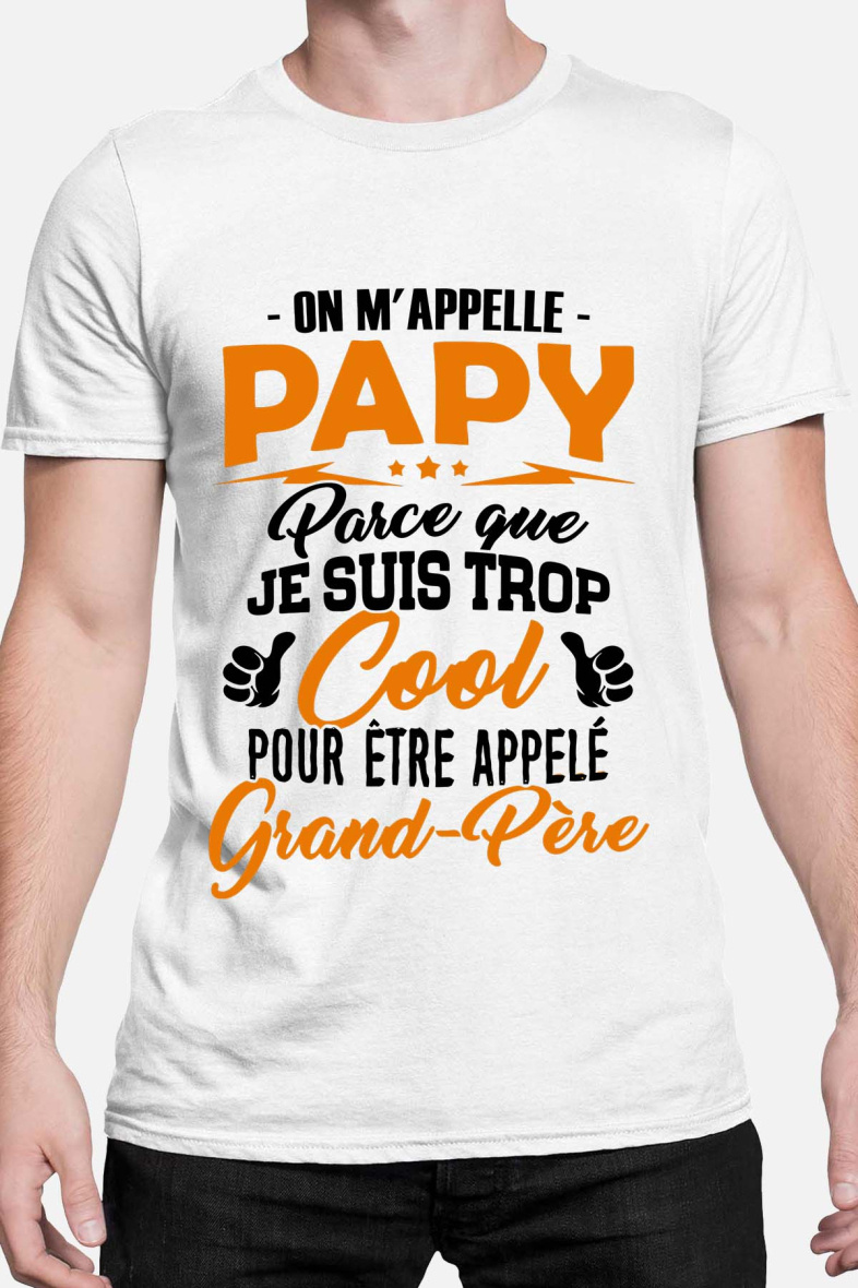 Grossiste I.A.L.D FRANCE - PAPY cool grand père - TShirt Homme