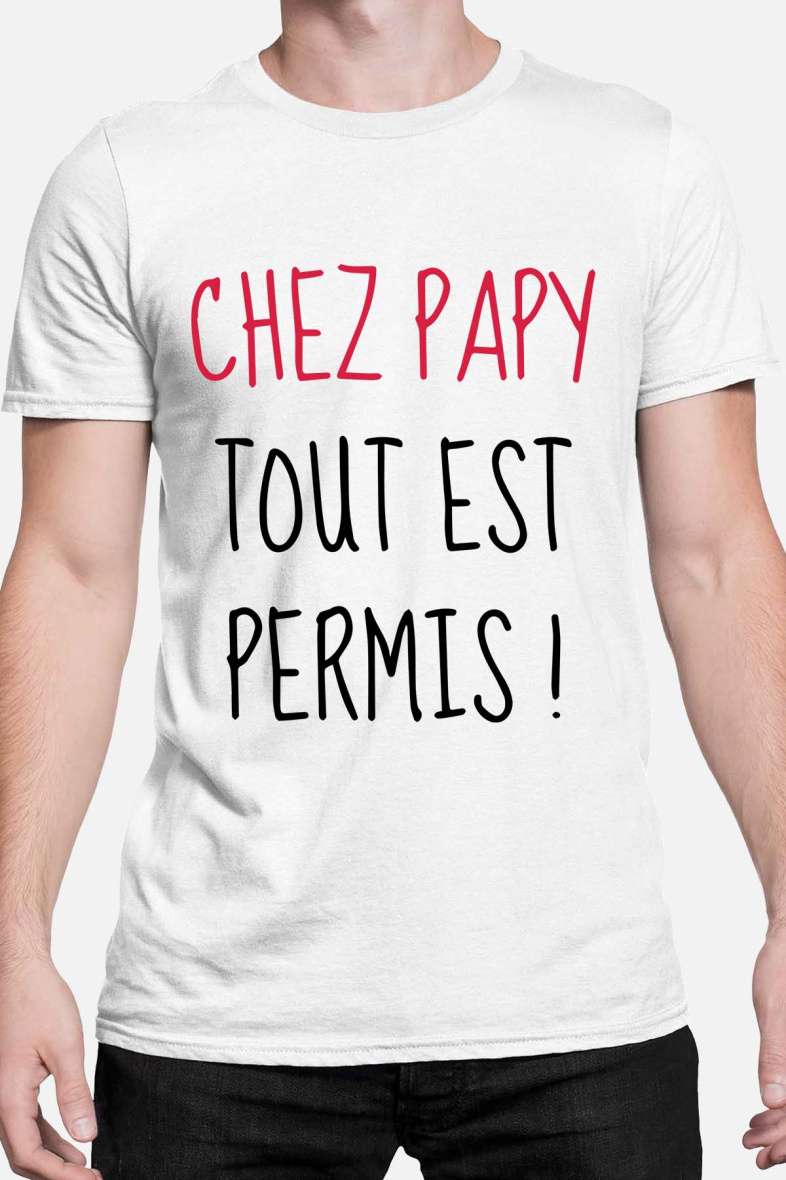 Grossiste I.A.L.D FRANCE - papy tout permis - TShirt Homme