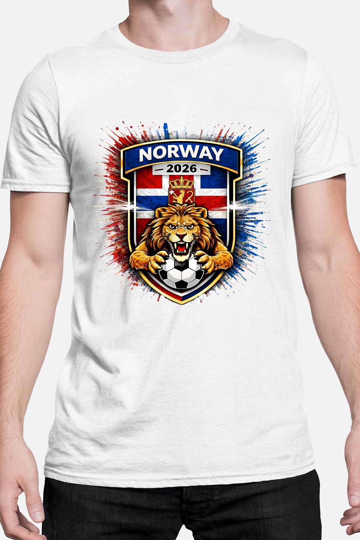 Grossista I.A.L.D FRANCE - Patch Norway - T-shirt Uomo