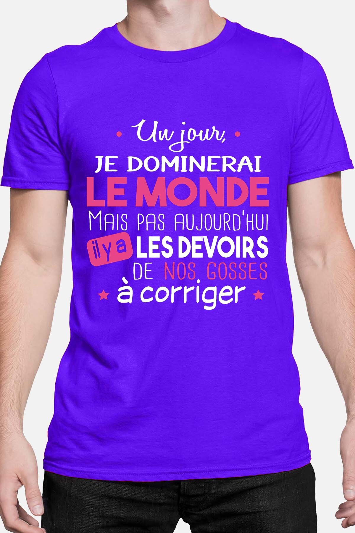 Grossiste I.A.L.D FRANCE - Devoirs fete mere - T-shirt Homme