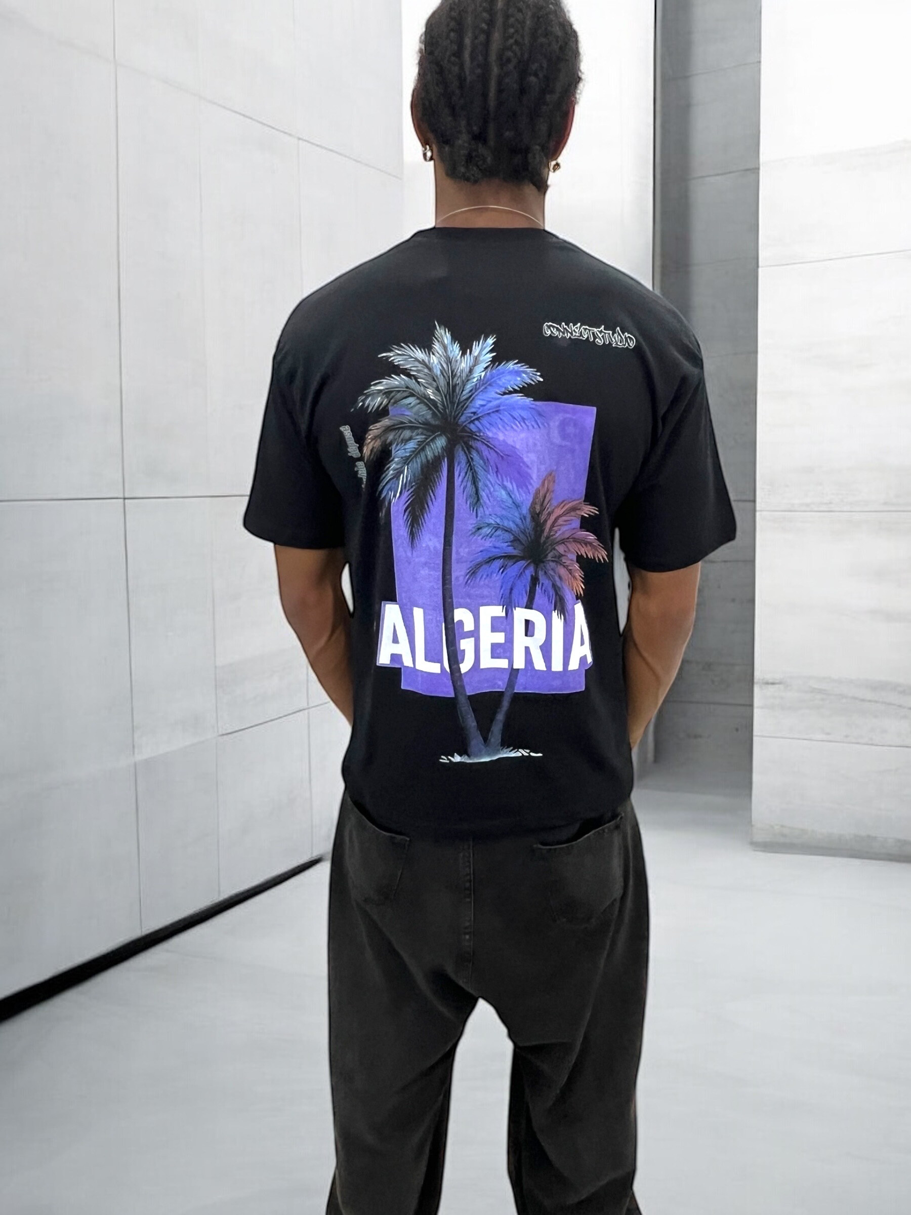 Mayorista Invictus Paris - Camiseta de 260 GSM