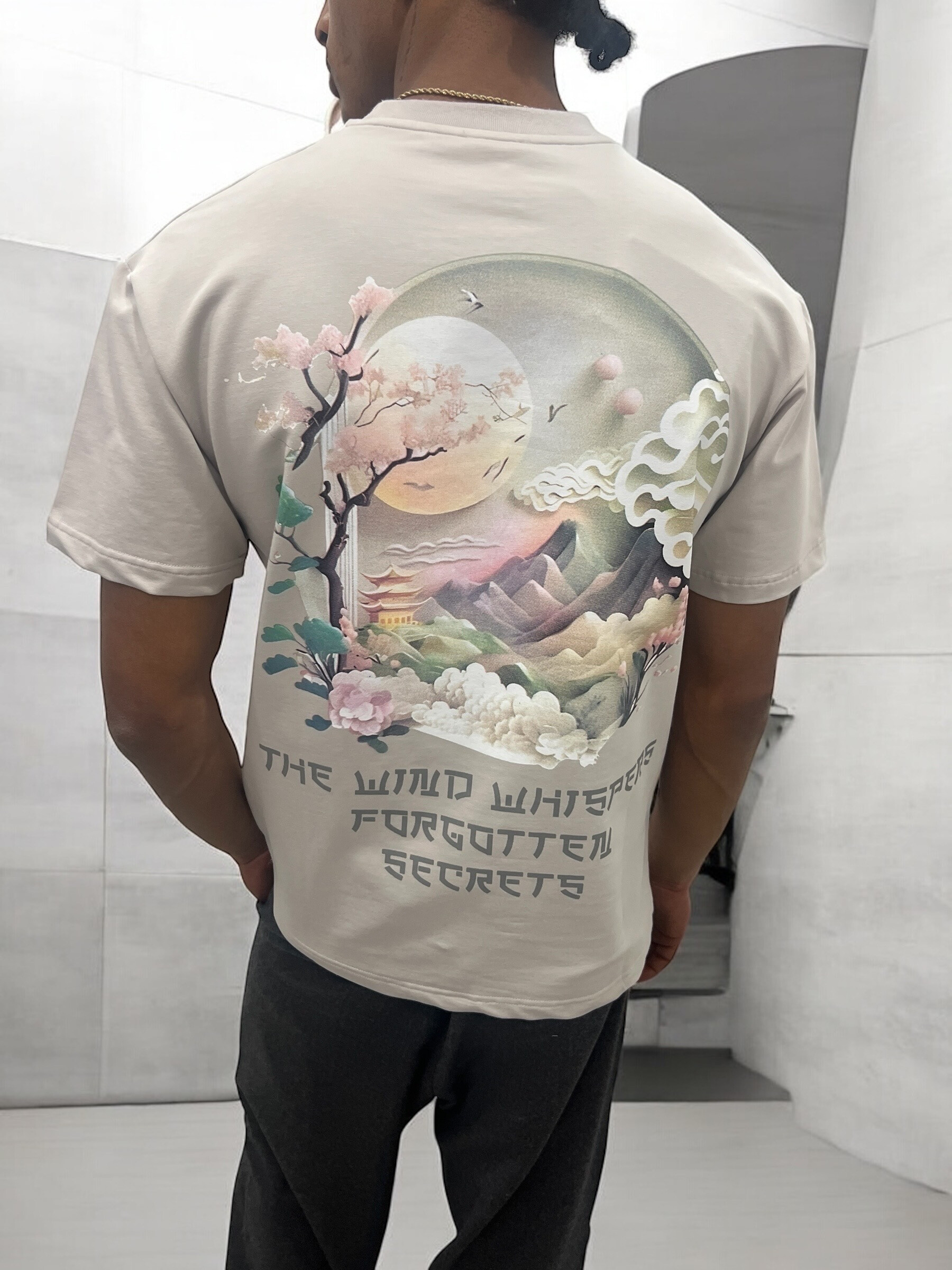 Wholesaler Invictus Paris - 260 GSM t-shirt