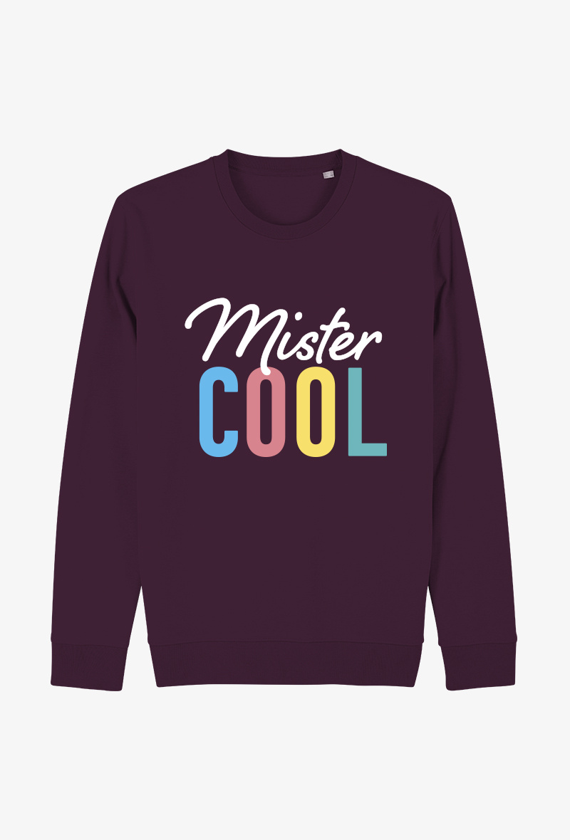 Mayorista Kapsul - Sudadera Adulto I - Mister cool