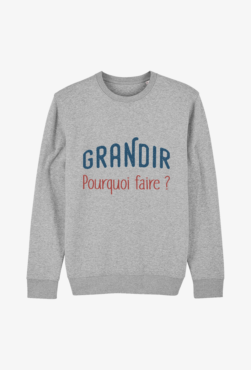 Wholesaler Koloris - Sweat Adulte Gris  - Grandir pourquoi faire ?