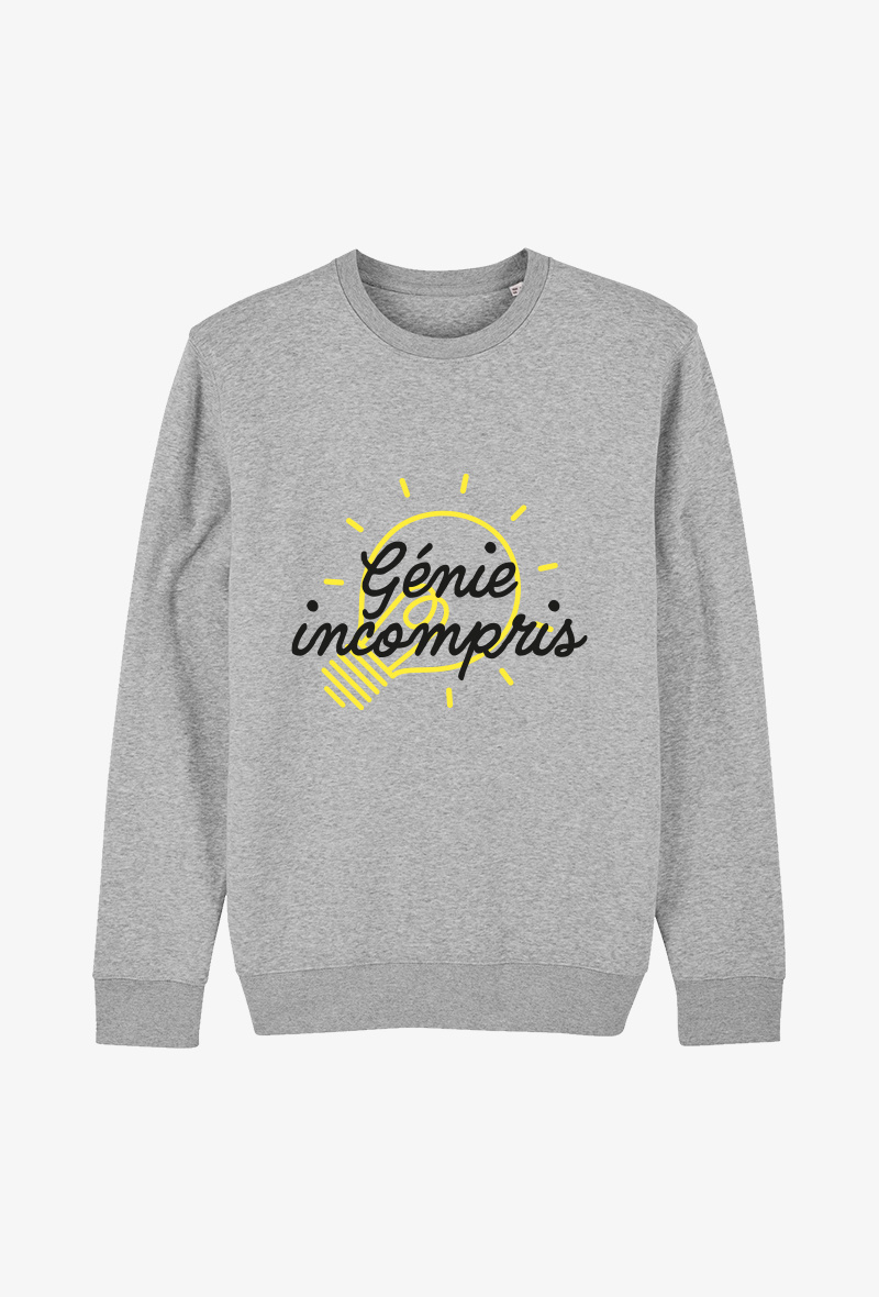 Mayorista Koloris - Sudadera Adulto Gris - Genio incomprendido