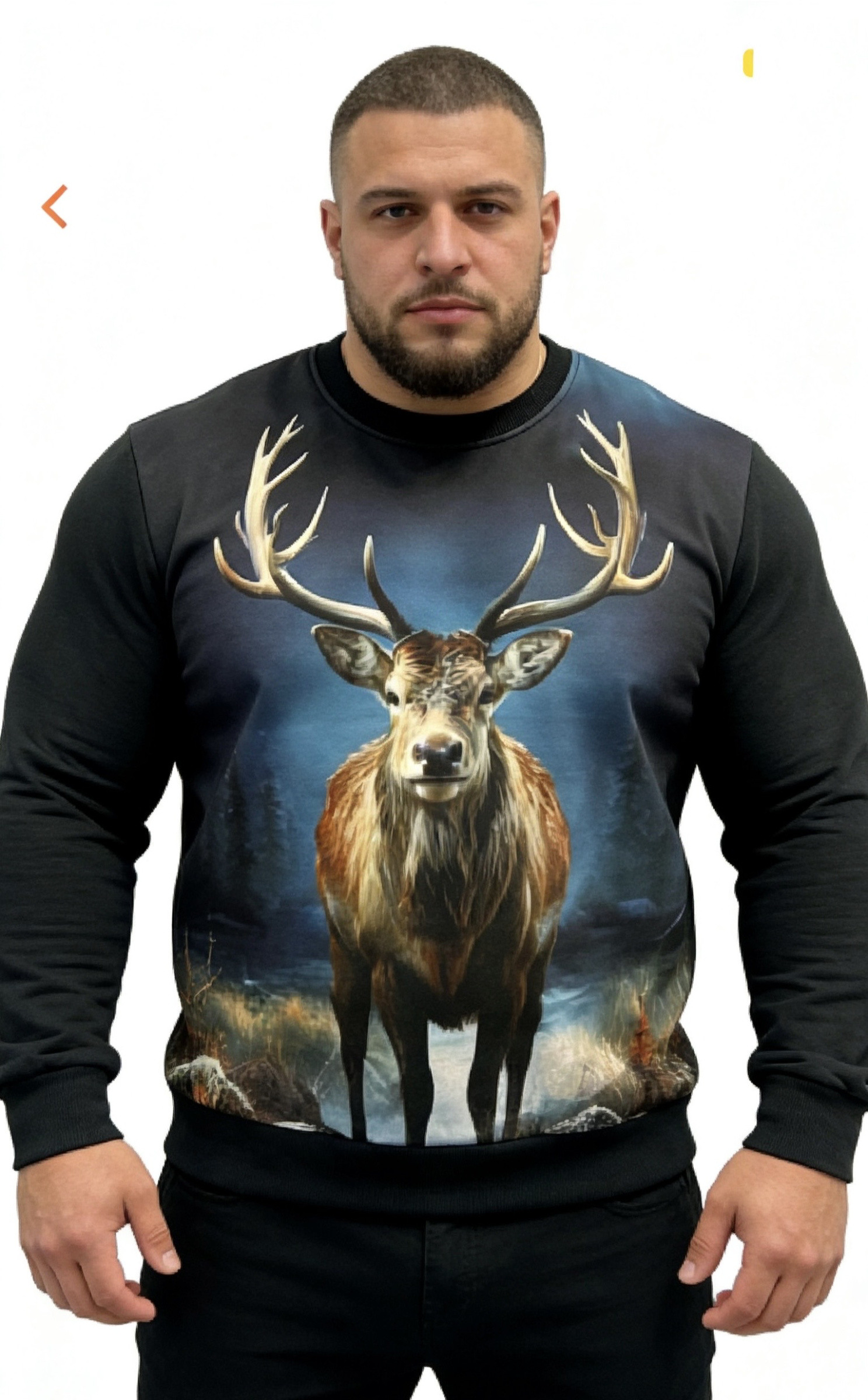 Großhändler Modwill - Sweatshirt