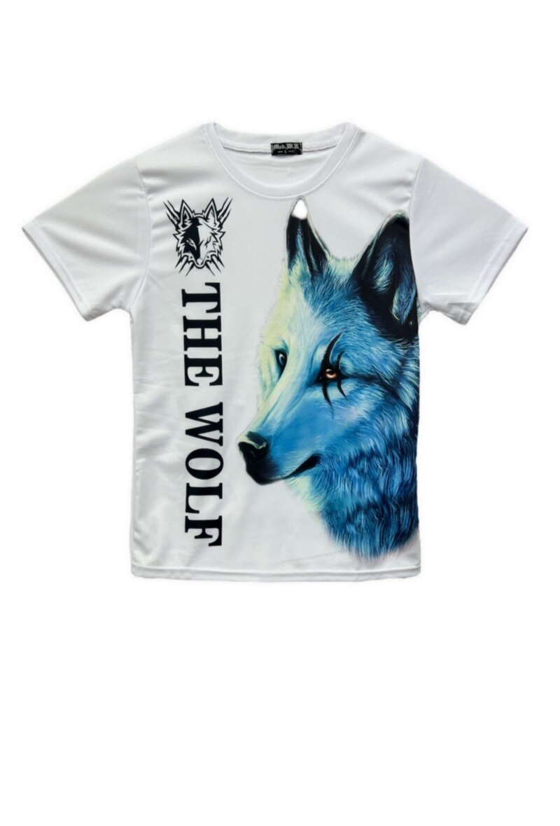 Wholesaler Modwill - Men's T-Shirt