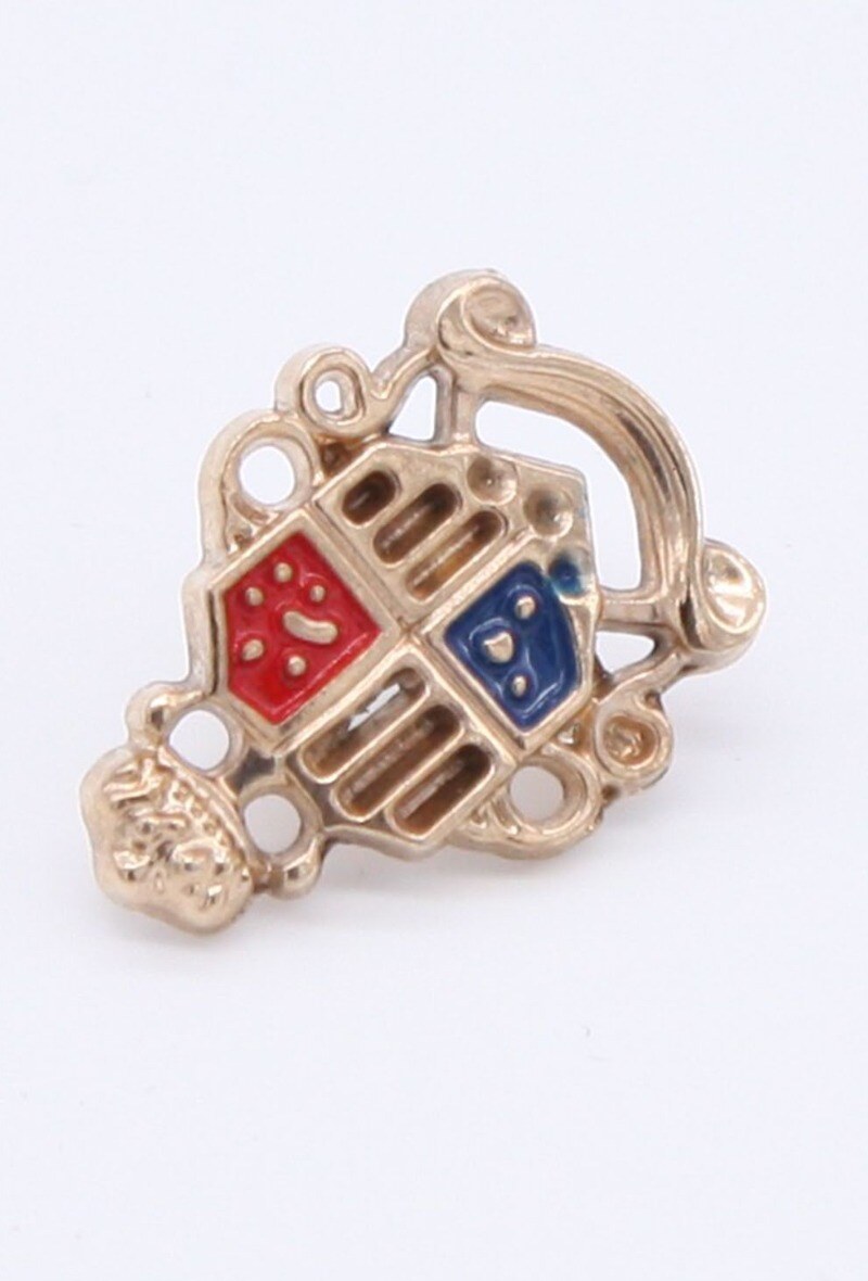 Wholesaler Yves Enzo Paris - Pins golden bicolor flag