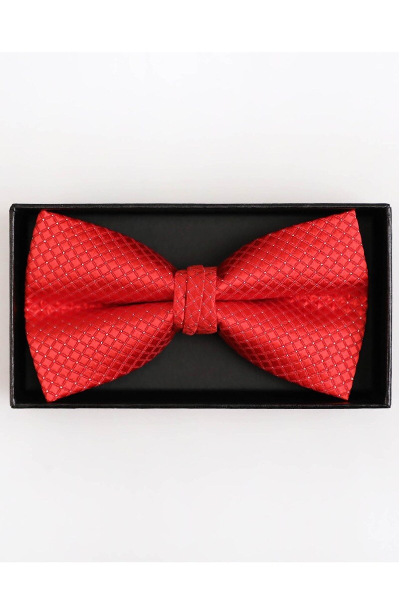 Grossista Yves Enzo - Set papillon e pochette premium