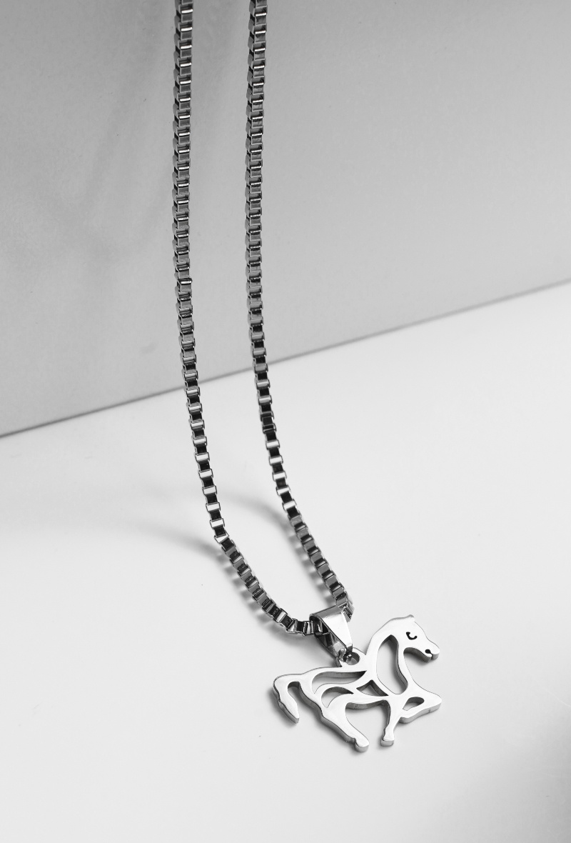 Großhändler Z. Emilie - Pferdehalsband aus Stahl