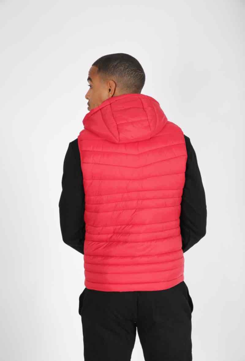 Wholesaler Zayne Paris - winter jacket + hat removable