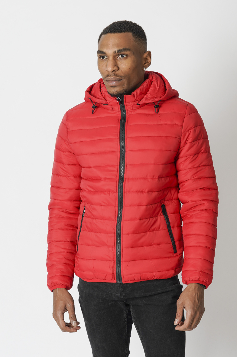 Grossiste Zayne Paris - doudoune fine capuche amovible et zip